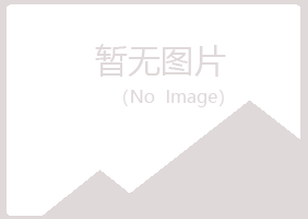 鹤岗夜山金属有限公司